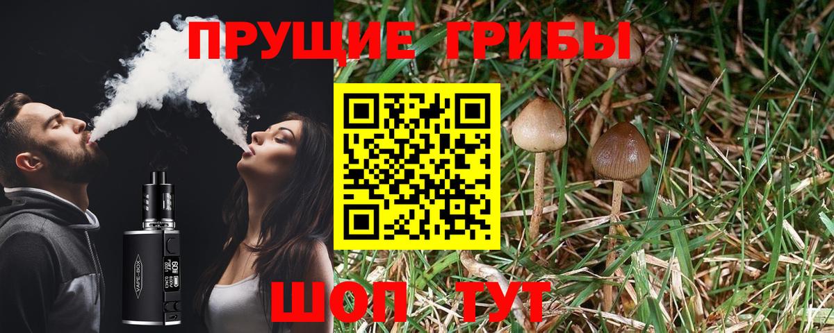 Псилоцибиновые грибы прущие грибы Горячий Ключ