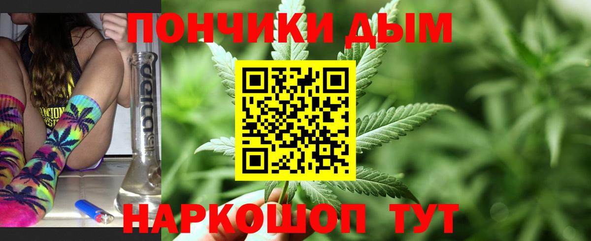 Каннабис план  Вход с VPN  Канабис сатива  Горячий Ключ  Марихуана Ganja  Каннабис семена 